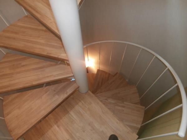 �y���̑������E�X�y�[�X�z�@