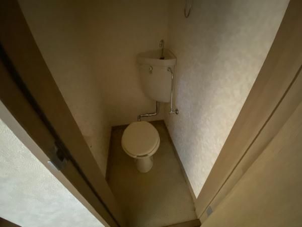 �y�g�C���z�@