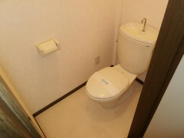 �y�g�C���z�@