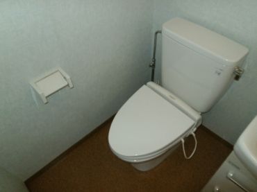 �y�g�C���z�@