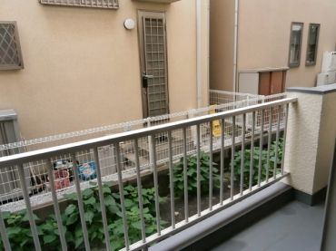 �y�x�����_�z�@