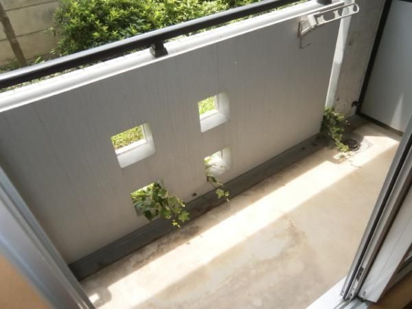 �y�x�����_�z�@