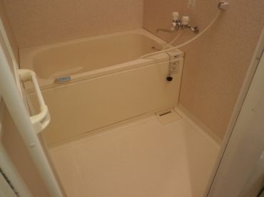 �y�o�X�z�@