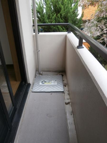 �y�x�����_�z�@