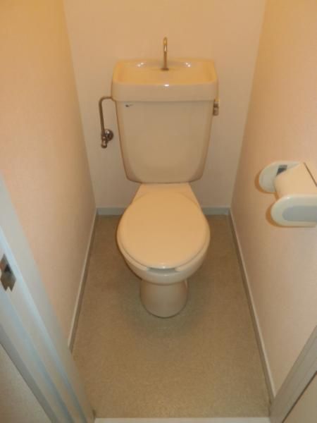 �y�g�C���z�@