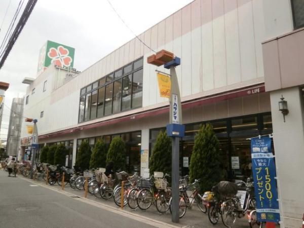 �y���Ӂz�@���C�t��ΉG�R�X324��