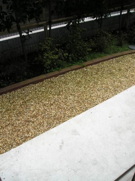 �y�x�����_�z�@