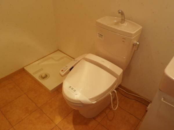 �y�g�C���z�@