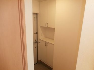 �y���̑��ݔ��z�@